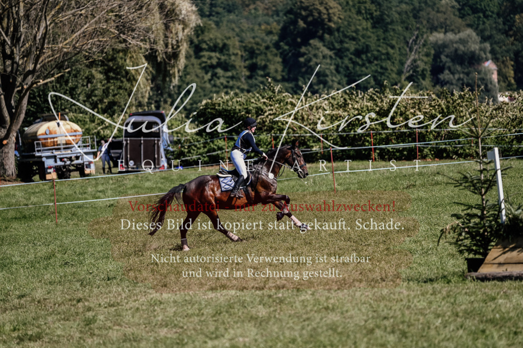 DSC_1862 | Pferde- und Turnierfotografie in Westsachsen. Pferdeportraits, Auftragszeichnungen und intuitive Kunst.