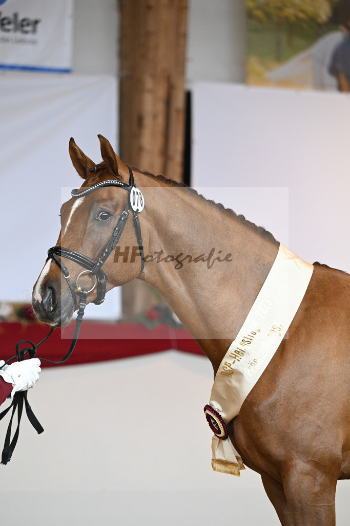 Kat-Nr. 78 Viva Gold_Casper u Eulich_1232198 | hf-fotografie - Realisiert mit Pictrs.com
