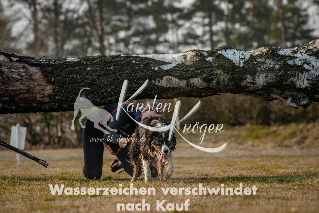 0837_ZZ95308 | kk-dogfotos