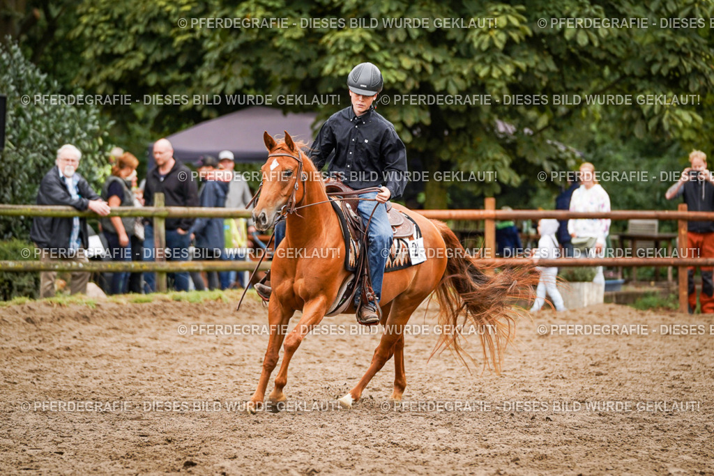 DSC03501 | Pferdegrafie