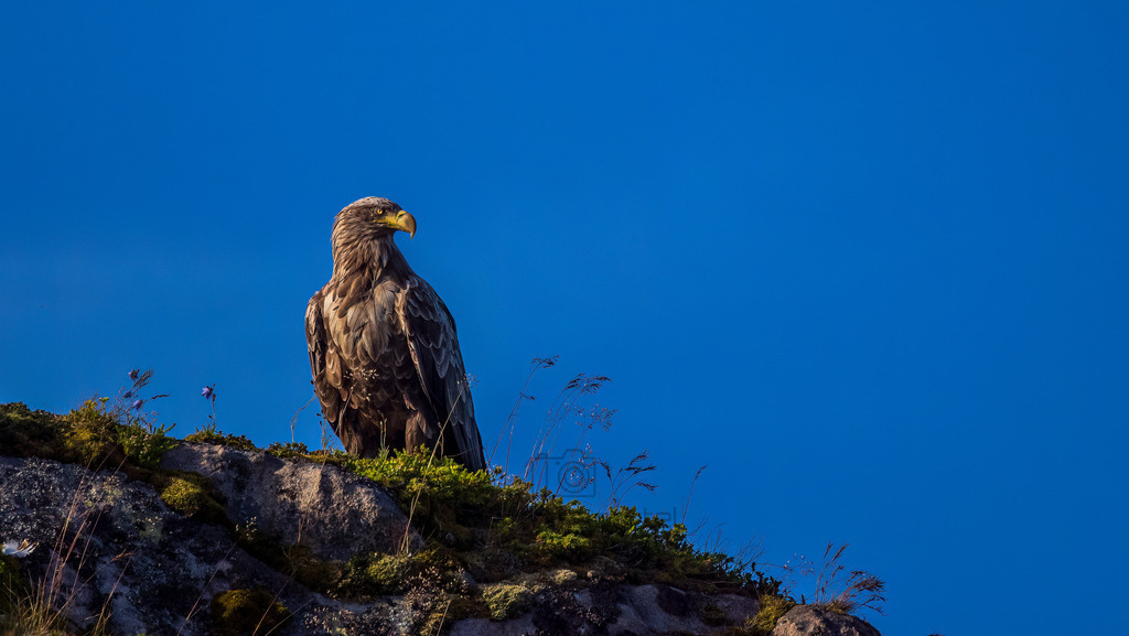 P1001804-Bearbeitet-2022-Bearbeitet-2022-LR | Natur im Moment - Realisiert mit Pictrs.com
