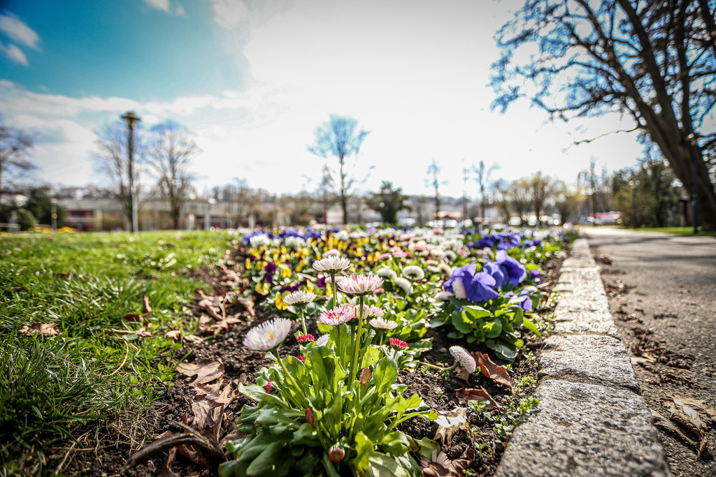 A-Willdoner_20240317_134 | 17.03.24, Wels, ALOHA WELS HALBMARATHON, picture shows: 
Photo: WAPICS / Andreas Willdoner