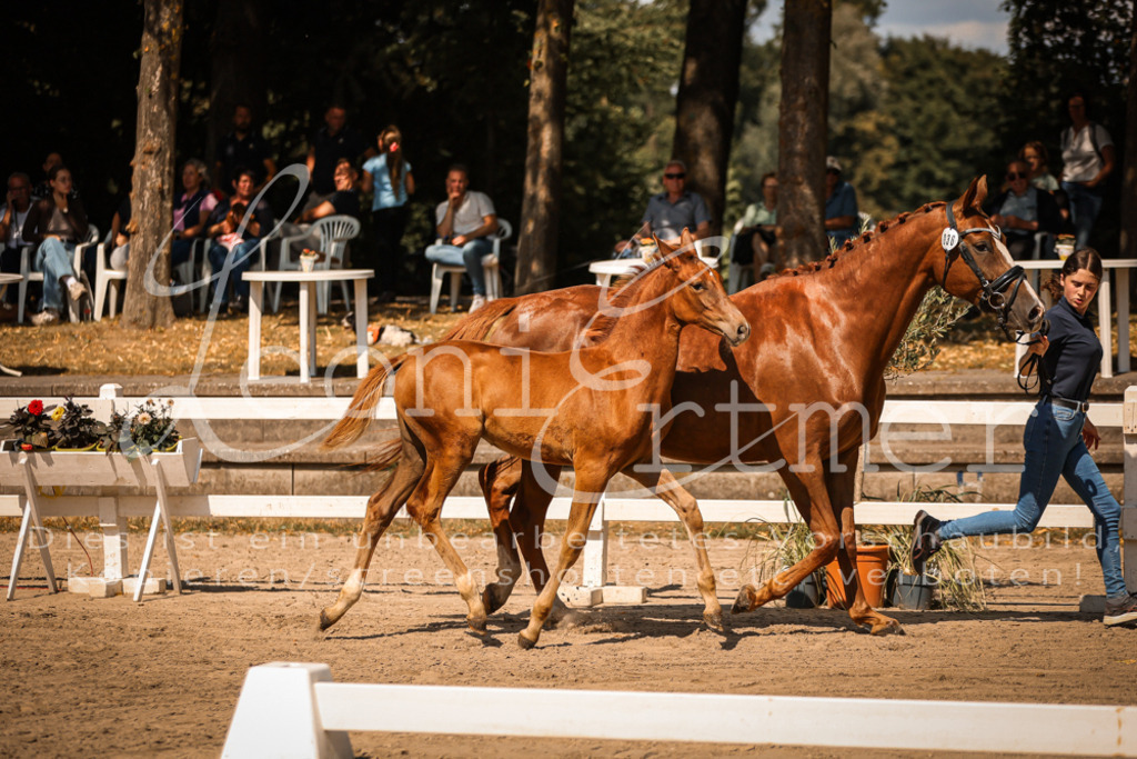 07.DoWBS00037 | Leoni Ertmer Photography - Realisiert mit Pictrs.com