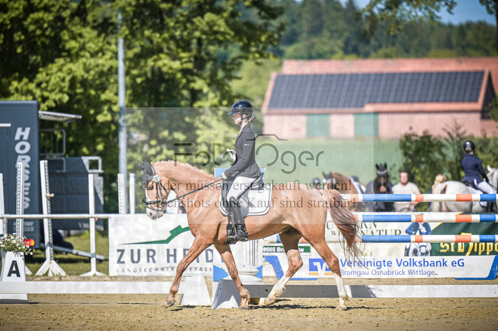 DOS_5082 | Entdecke hochwertige Reitturnierfotos von Foto Oger. Professionell, emotional und authentisch – jetzt Lieblingsmomente im Shop bestellen.Deutschlandweite Turnierfotografie. - Realisiert mit Pictrs.com