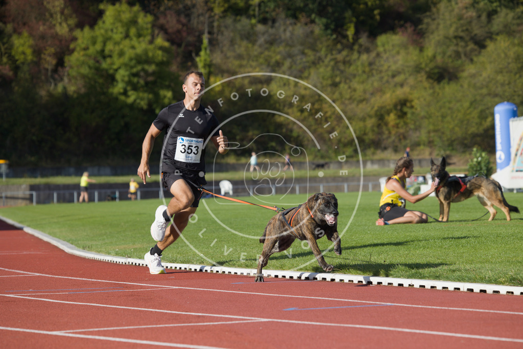 0L8A0033 | Hundefotografie, Tierfotograf, Pfotenfotografie, Fotoshooting Hund, Hunde Portrait, Hundesport, Hundeportraits, Heideshooting, Hunde, Sportfotograf, Hundefotograf, Turnierhundsport, THS,  - Realisiert mit Pictrs.com