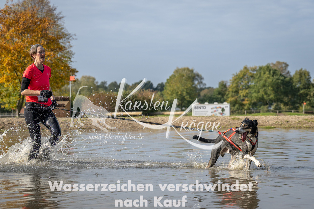 1206_ZZ90221 | kk-dogfotos