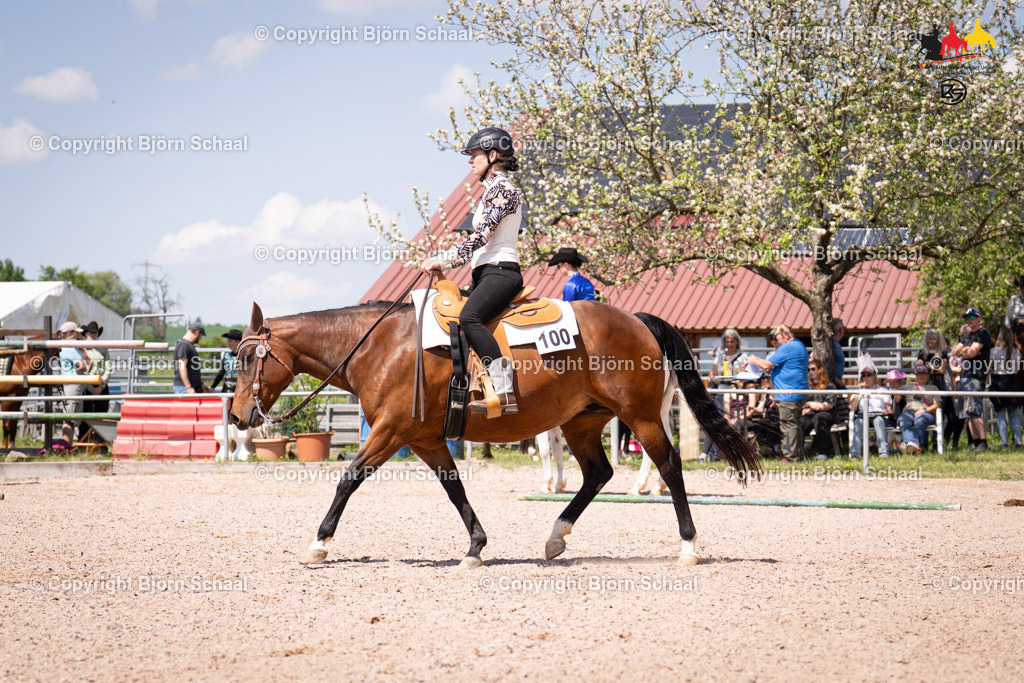 LMB08031 | BS-foto