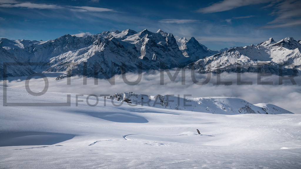DSC07943 | Tinu Müller Fotografie- Bildershop - Realisiert mit Pictrs.com