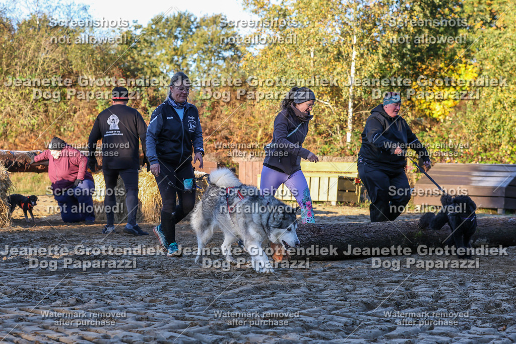 Dog Paparazzi - Strongdog 10-25-757 | Dog Paparazzi Jeanette Grottendiek Fotografie & Videografie - Realisiert mit Pictrs.com