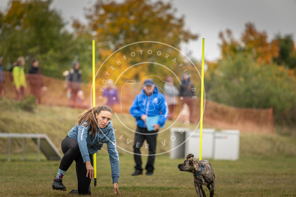 Pfotenfotografie_DV3A3490 | Hundefotografie, Tierfotograf, Pfotenfotografie, Fotoshooting Hund, Hunde Portrait, Hundesport, Hundeportraits, Heideshooting, Hunde, Sportfotograf, Hundefotograf, Turnierhundsport, THS,  - Realisiert mit Pictrs.com