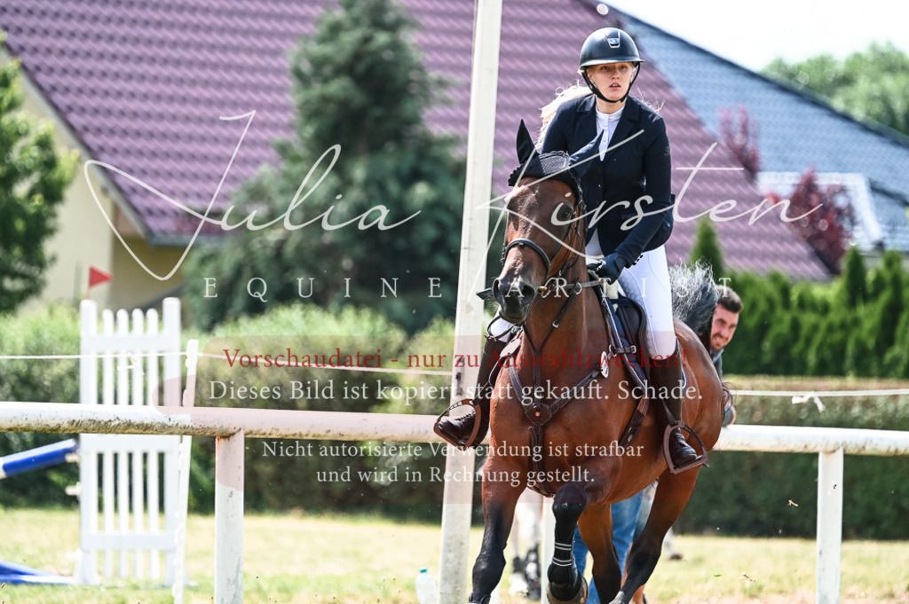 DSC_9121 | Pferde- und Turnierfotografie in Westsachsen. Pferdeportraits, Auftragszeichnungen und intuitive Kunst.