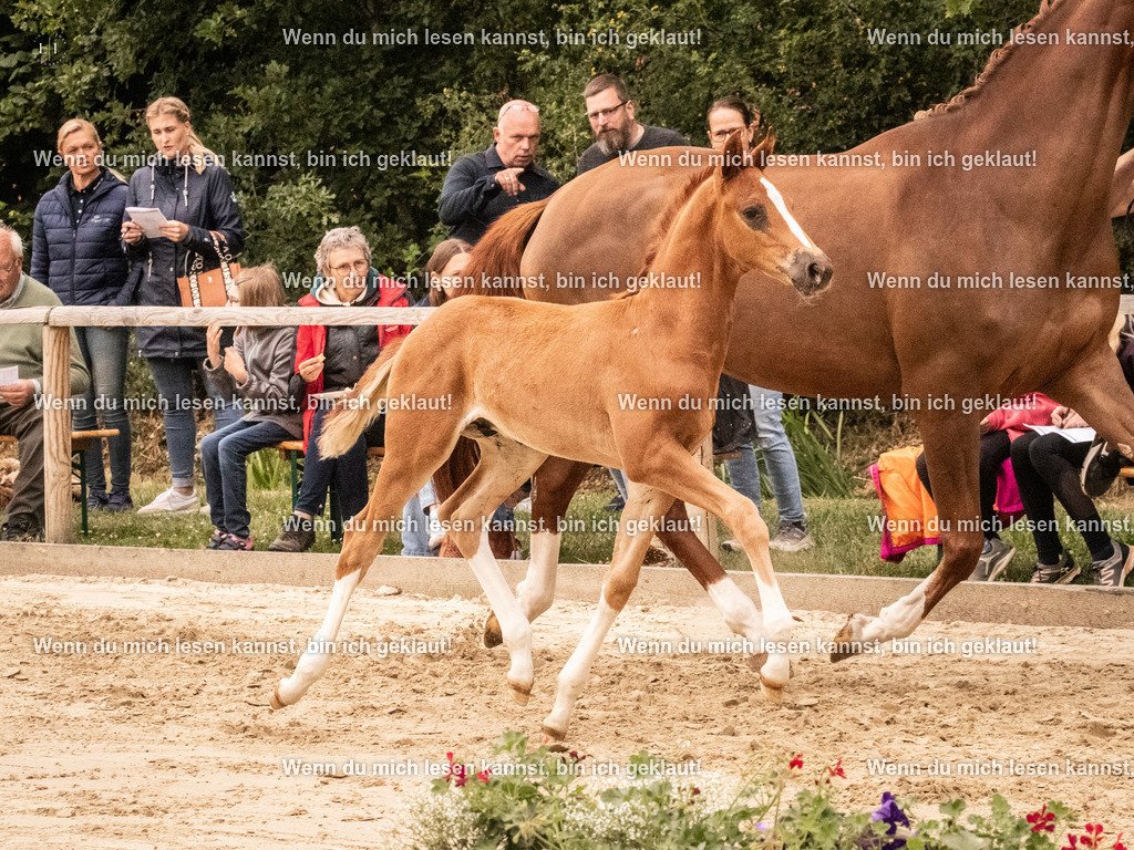 A10I0714 | photographylinaismer - Realisiert mit Pictrs.com