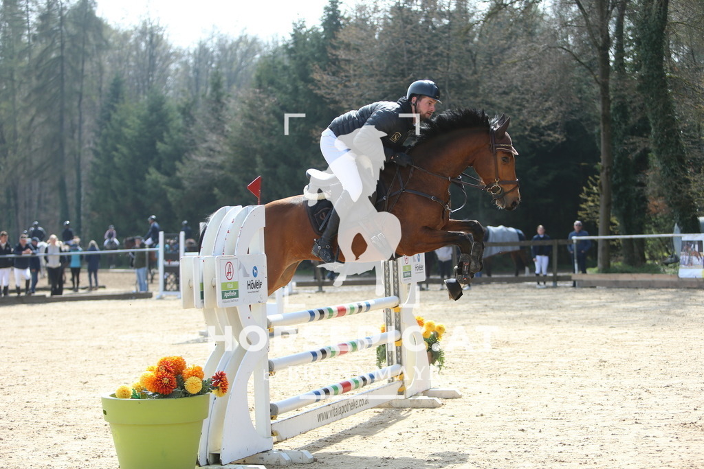 DL2Q9065 | Willkommen bei Brunnmayr - Design & Fotografie – Ihrem Spezialisten für Reitturniere und Pferdeveranstaltungen in Oberösterreich, Salzburg und Bayern! Seit über 17 Jahren sind wir leidenschaftlich dabei.