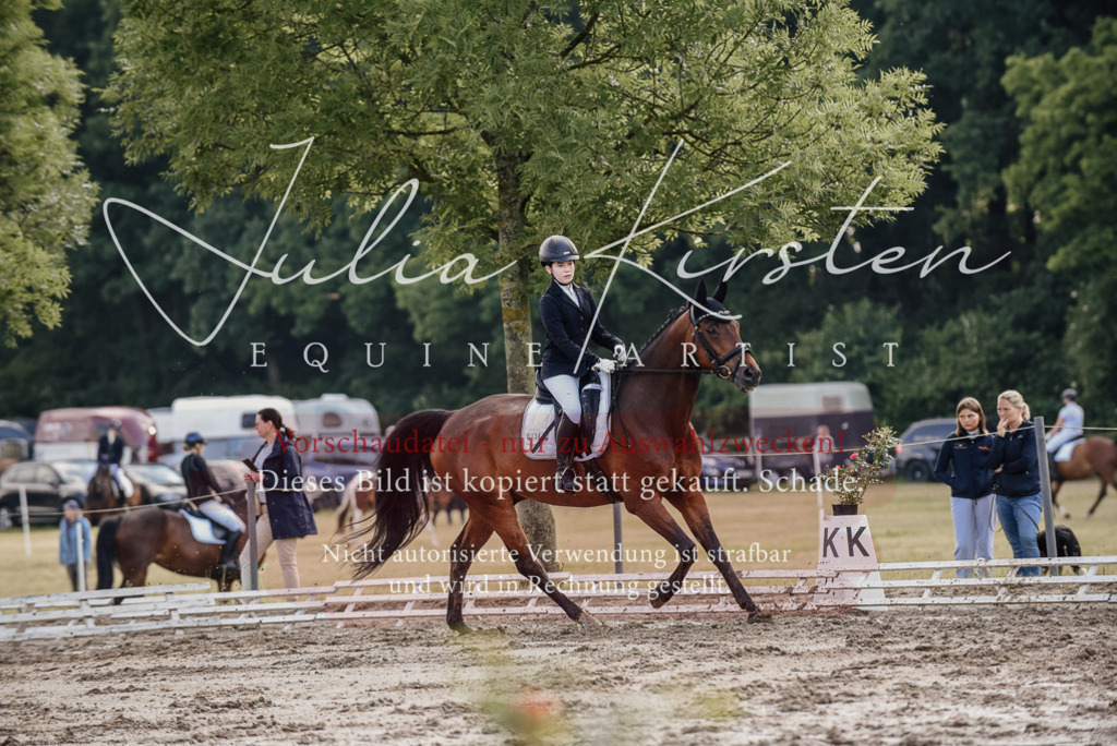 DSC_8011 | Pferde- und Turnierfotografie in Westsachsen. Pferdeportraits, Auftragszeichnungen und intuitive Kunst.