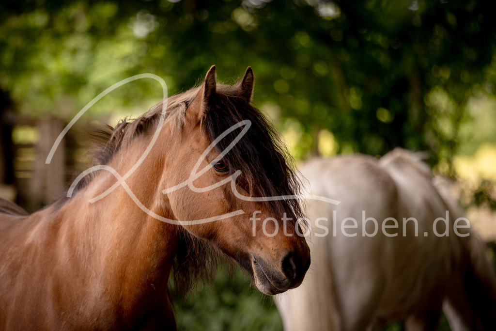 846A0464 | fotosleben - Realized with Pictrs.com