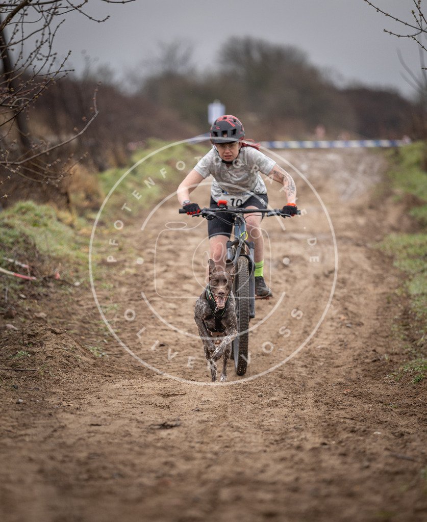 DV3A8916 | Hundefotografie, Tierfotograf, Pfotenfotografie, Fotoshooting Hund, Hunde Portrait, Hundesport, Hundeportraits, Heideshooting, Hunde, Sportfotograf, Hundefotograf, Turnierhundsport, THS,  - Realisiert mit Pictrs.com