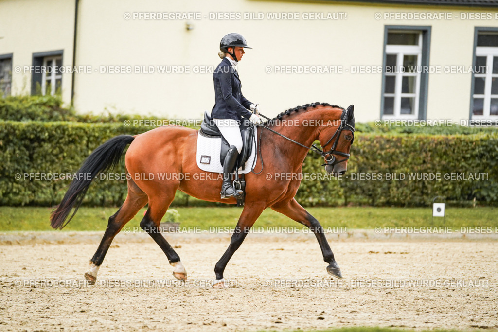 DSC07318 | Pferdegrafie