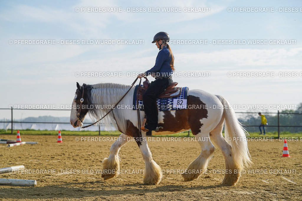 DSC00891 | Pferdegrafie