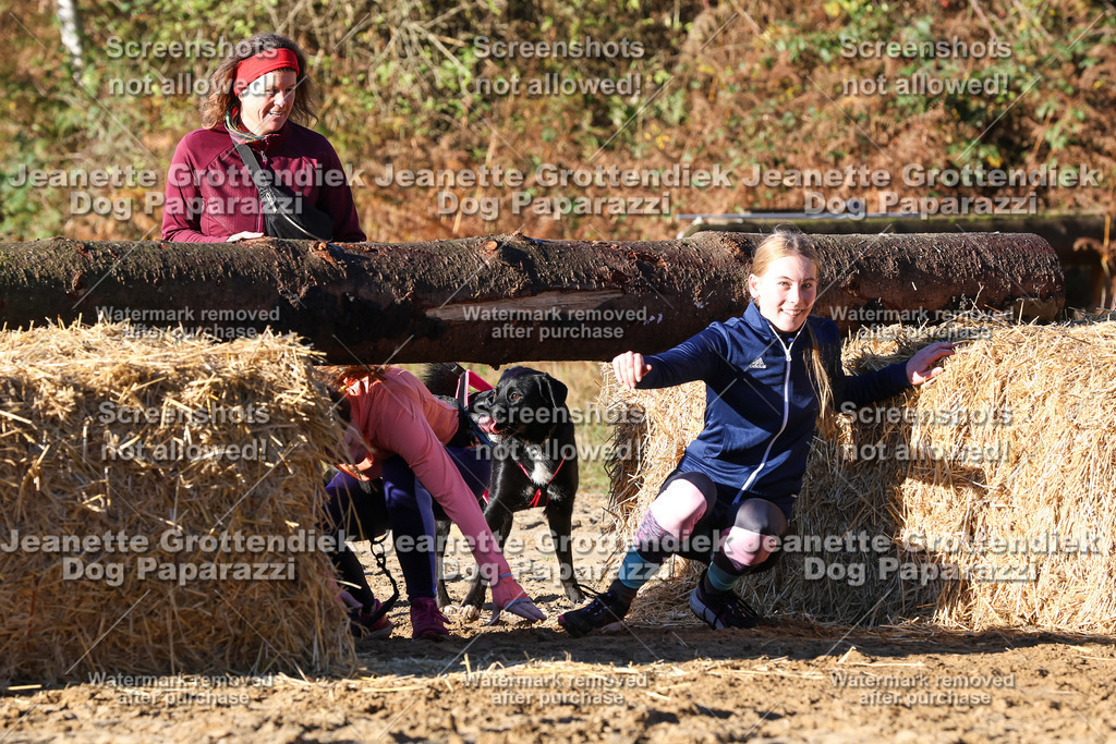 Dog Paparazzi - Strongdog 10-25-1354 | Dog Paparazzi Jeanette Grottendiek Fotografie & Videografie - Realisiert mit Pictrs.com