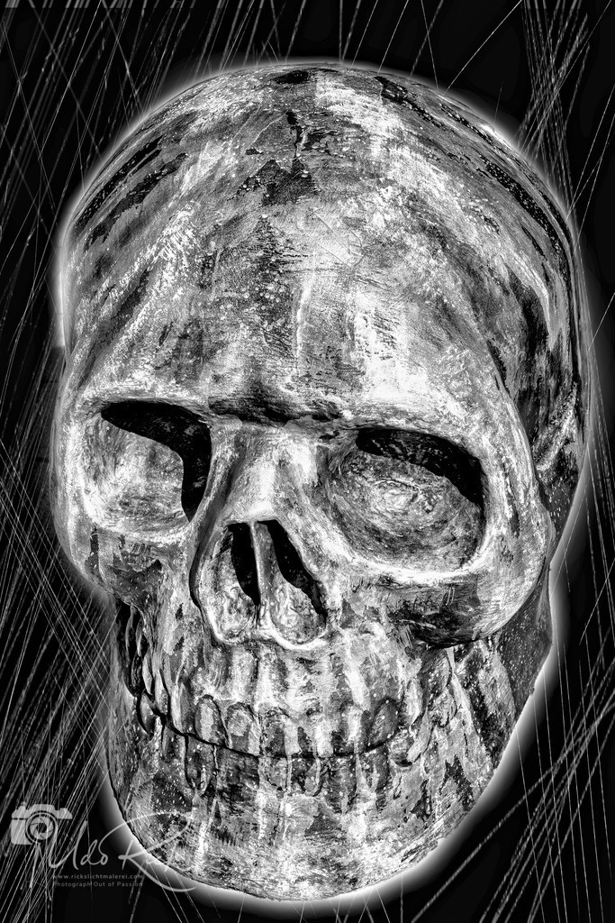 Skull_BW | Entdecken Sie Fotografie aus Leidenschaft: Auftragsfotografie, HD-Fotos, Geschenkartikel aus Ihren Bildern und vieles mehr. Beauftragen Sie uns für besondere Momente!