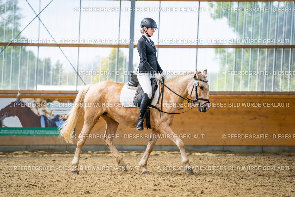 DSC04388 | Pferdegrafie