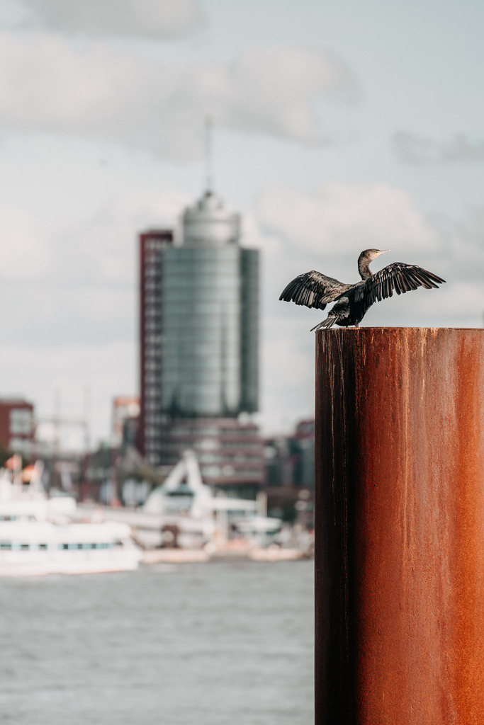 JM.Frl.W.underlich-27 | frl-wunderlich - Realisiert mit Pictrs.com