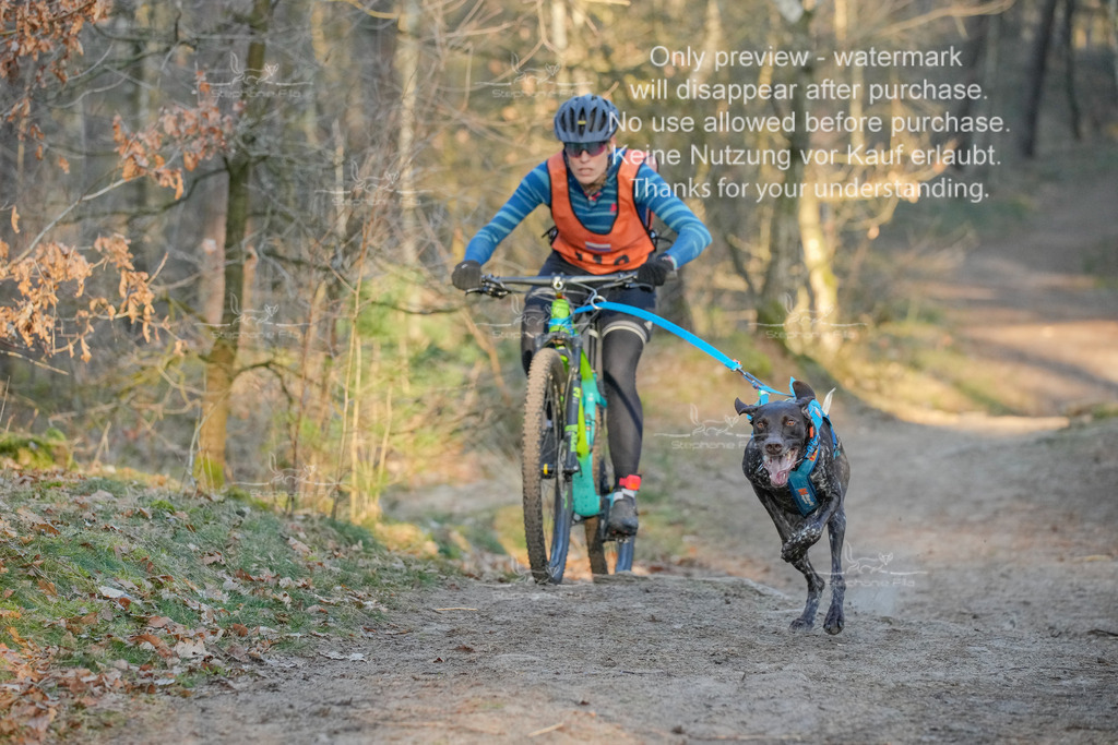 Sa_Bike-270 | stephaniefillaphotographie - Realisiert mit Pictrs.com