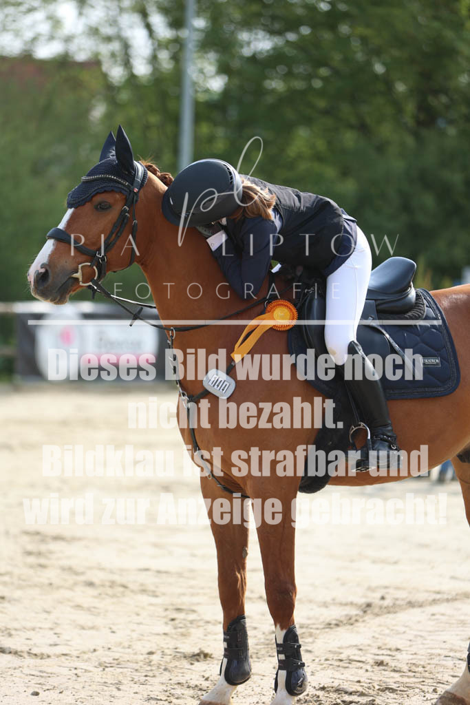 IMGM3728 | pl-fotografie