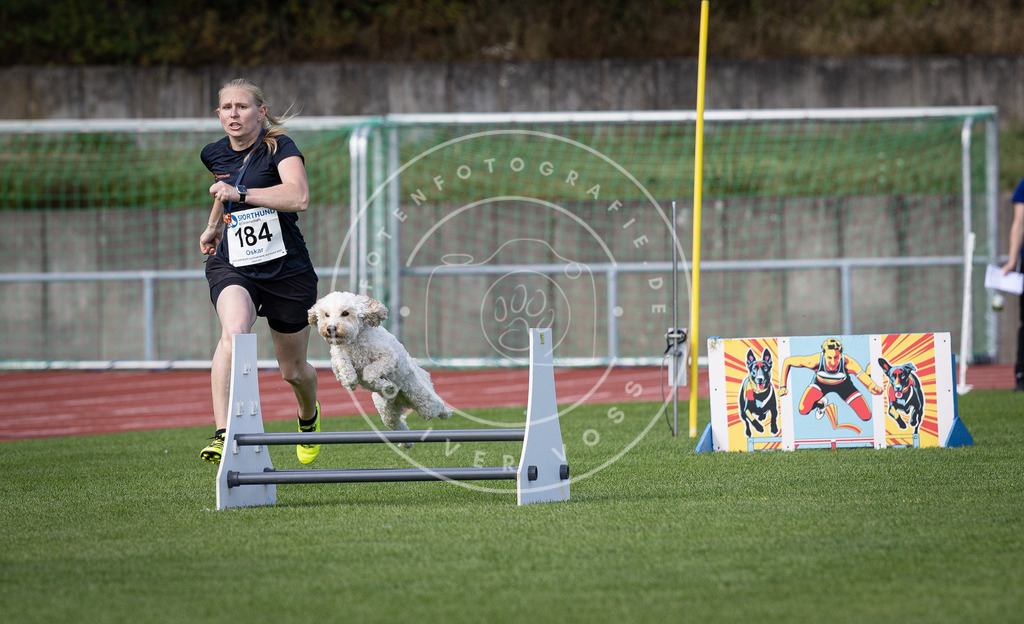Pfotenfotografie_DV3A0316 | Hundefotografie, Tierfotograf, Pfotenfotografie, Fotoshooting Hund, Hunde Portrait, Hundesport, Hundeportraits, Heideshooting, Hunde, Sportfotograf, Hundefotograf, Turnierhundsport, THS,  - Realisiert mit Pictrs.com