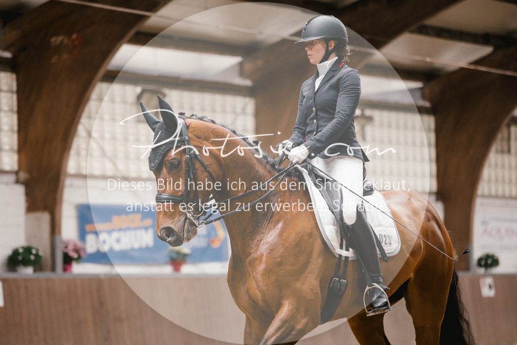 3I6A8074 | Stimmungsvolle Portraits und Reitsportfotografie im Ruhrgebiet und im Münsterland.

Pferdefotografie, Hundefotografie, Tierfotografie, Reportagen, Portraits von Tier und Mensch, Turnierfotografie in Bochum, Recklinghausen, Marl, Haltern am See, Dülmen.. - Realisiert mit Pictrs.com