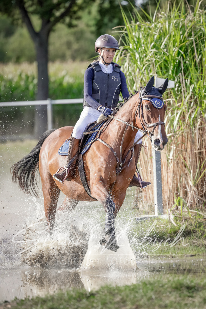 20250906-_3LI7552 | Tierfotografie Pferde, Hunde, Katzen, Haustiere.
Turnierfotografie Reitturniere, Reiten, Springreiten, Dressur in Hanau, dem Main-Kinzig-Kreis und dem Rhein-Main- Gebiet um Frankfurt
