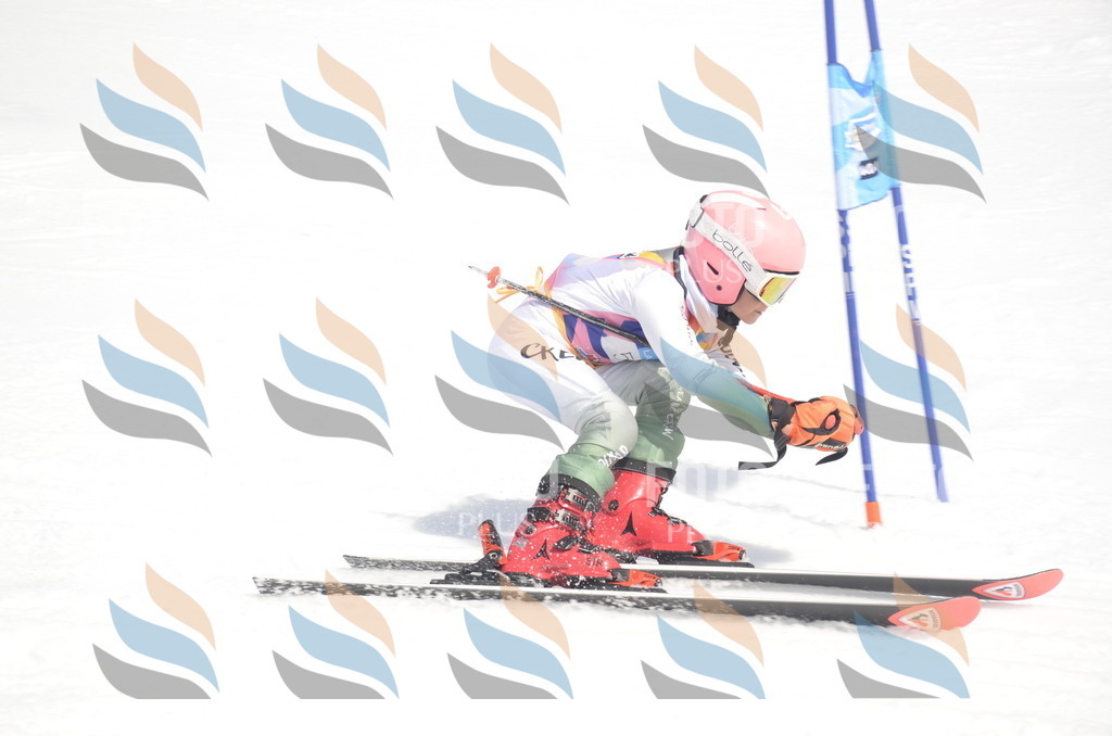 _ELE8966 | holidayphoto