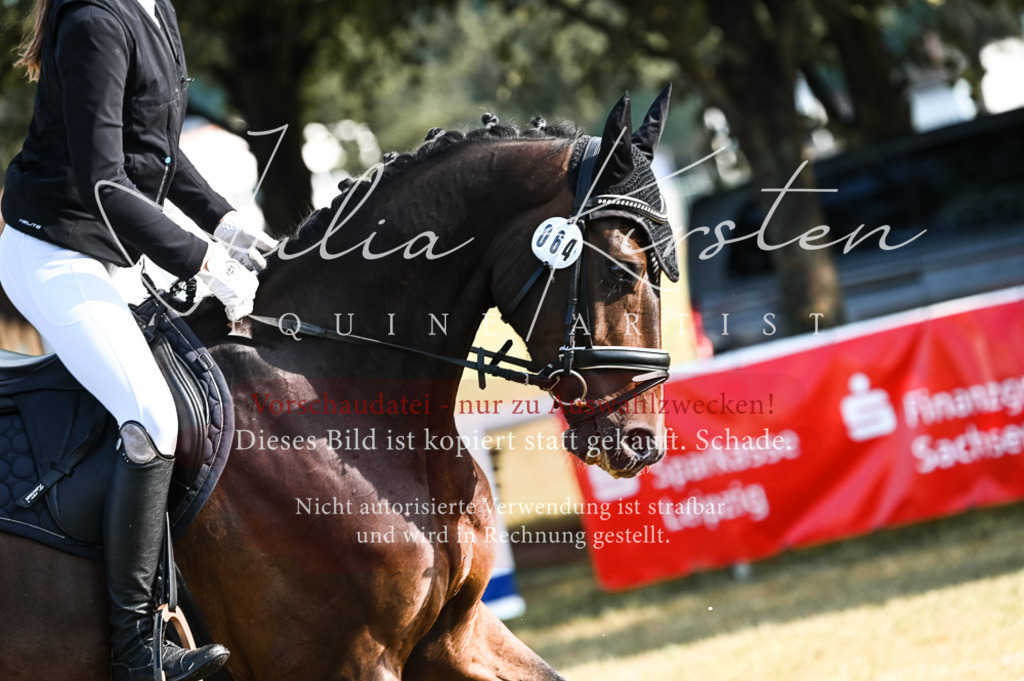 DSC_7575 | Pferde- und Turnierfotografie in Westsachsen. Pferdeportraits, Auftragszeichnungen und intuitive Kunst.