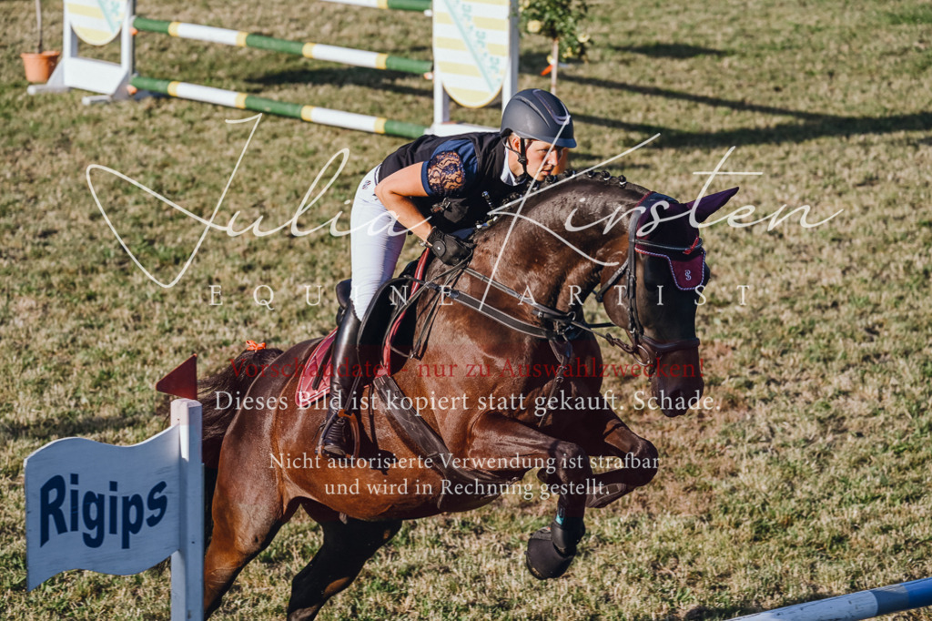DSC_3250 | Pferde- und Turnierfotografie in Westsachsen. Pferdeportraits, Auftragszeichnungen und intuitive Kunst.