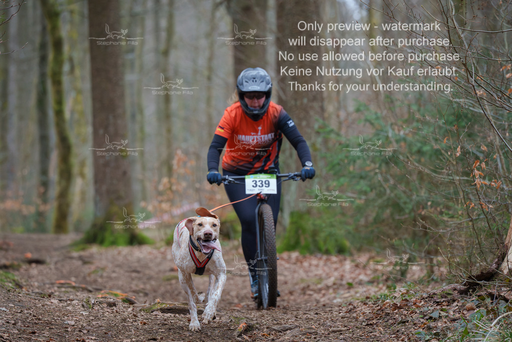 Scooter_So-75 | stephaniefillaphotographie - Realisiert mit Pictrs.com