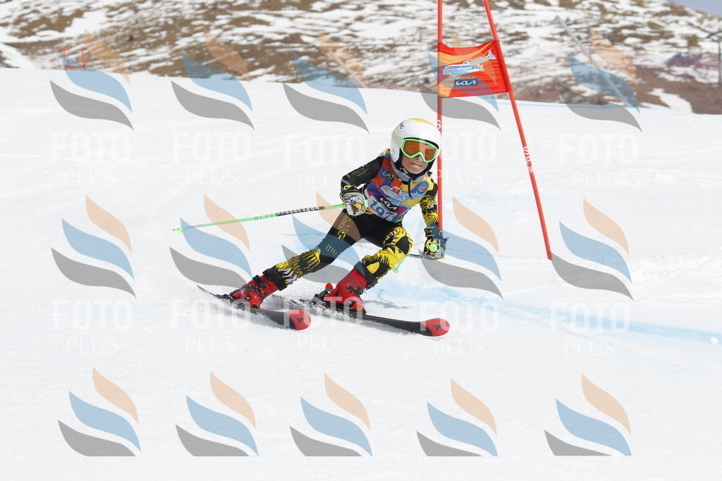 _U3G1993 | holidayphoto