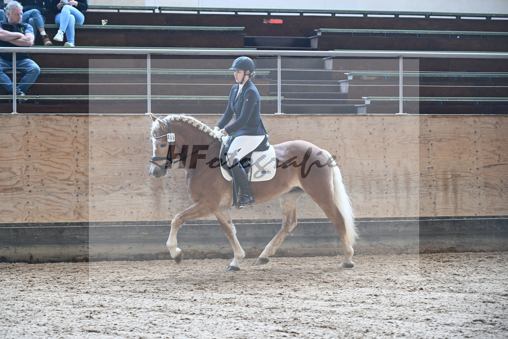 Kat-Nr. 5 Bonito-E v. Blitz-U_Gruber_43250372 | hf-fotografie - Realisiert mit Pictrs.com