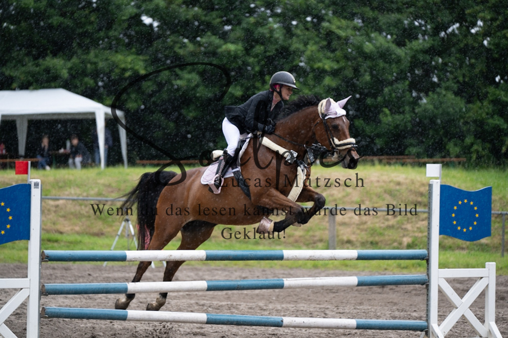 A7V05040 | Pferdefotograf