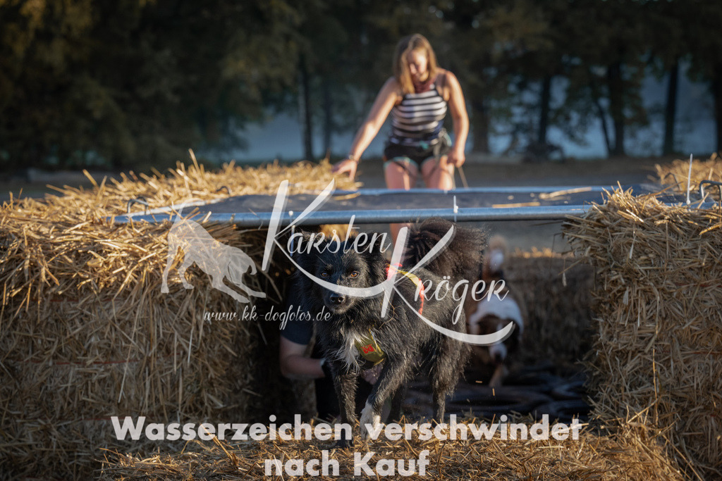 0915_ZZ92204 | kk-dogfotos