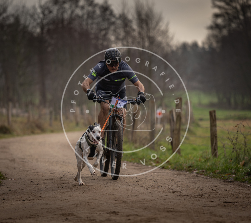 Pfotenfotografie_DV3A1731 | Hundefotografie, Tierfotograf, Pfotenfotografie, Fotoshooting Hund, Hunde Portrait, Hundesport, Hundeportraits, Heideshooting, Hunde, Sportfotograf, Hundefotograf, Turnierhundsport, THS,  - Realisiert mit Pictrs.com
