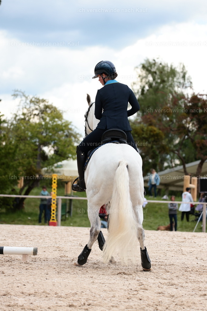 PI26_ST_StoibphotographyC2_L9021.JPG | working equitationturnier fotograf videograf stoibphotography marixx film working equitation deutschland reitsport turnierfotografie eventfotografie equestrian events