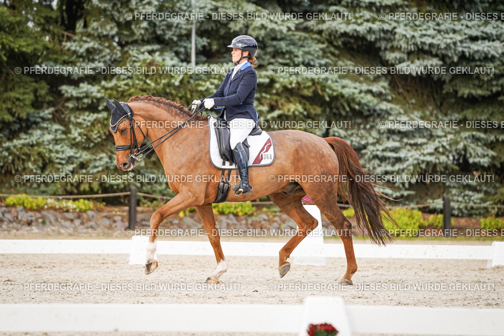 DSC08759 | Pferdegrafie