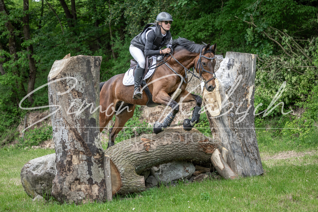 20260523-_3LI9669 | Tierfotografie Pferde, Hunde, Katzen, Haustiere.
Turnierfotografie Reitturniere, Reiten, Springreiten, Dressur in Hanau, dem Main-Kinzig-Kreis und dem Rhein-Main- Gebiet um Frankfurt