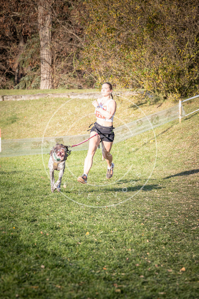 CaniXpix_0L8A9726 | Hundefotografie, Tierfotograf, Pfotenfotografie, Fotoshooting Hund, Hunde Portrait, Hundesport, Hundeportraits, Heideshooting, Hunde, Sportfotograf, Hundefotograf, Turnierhundsport, THS,  - Realisiert mit Pictrs.com