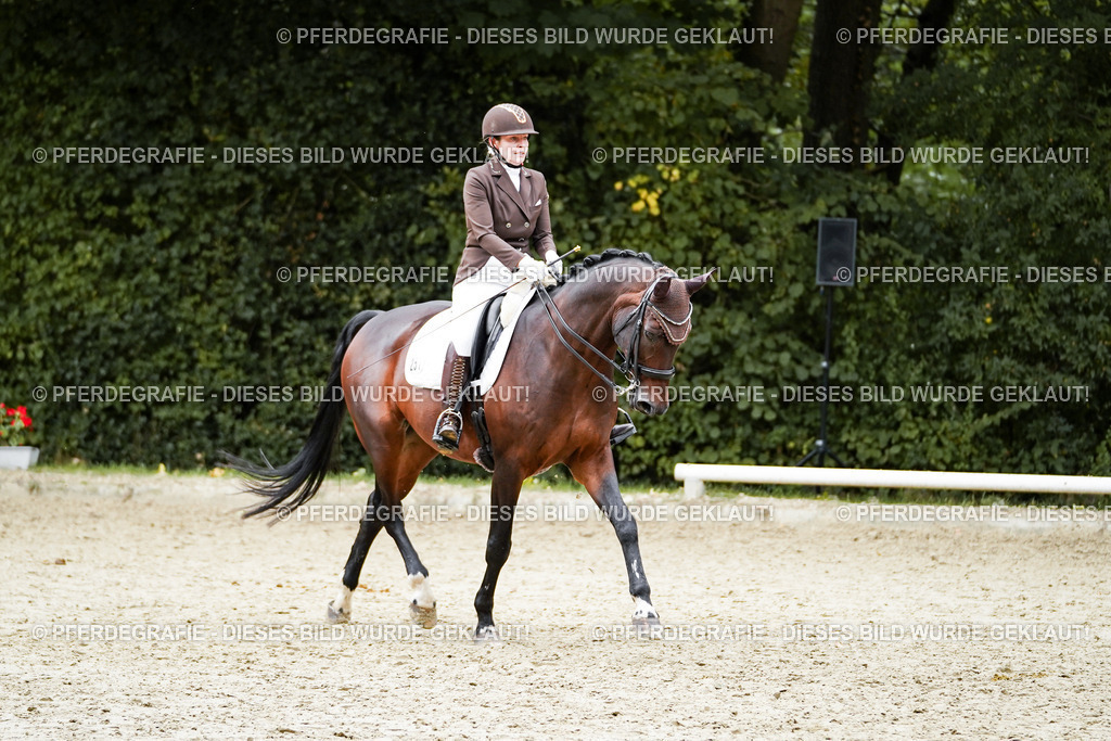 DSC01008 | Pferdegrafie