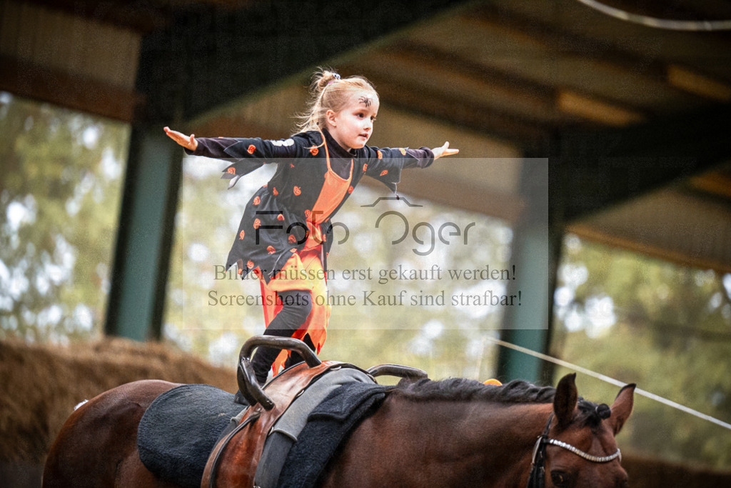 DOS_0088 | Entdecke hochwertige Reitturnierfotos von Foto Oger. Professionell, emotional und authentisch – jetzt Lieblingsmomente im Shop bestellen.Deutschlandweite Turnierfotografie. - Realisiert mit Pictrs.com