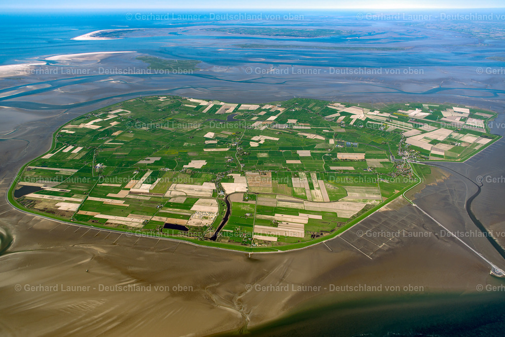 3801578 | Pellworm,Nationalpark Schleswig-Holsteinisches Wattenmeer