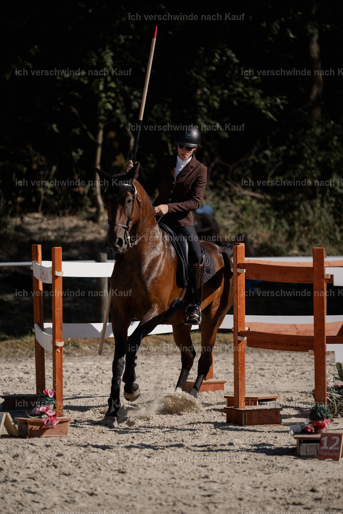 WS_ST_111_stoibphotography_SO11881 | working equitationturnier fotograf videograf stoibphotography marixx film working equitation deutschland reitsport turnierfotografie eventfotografie equestrian events