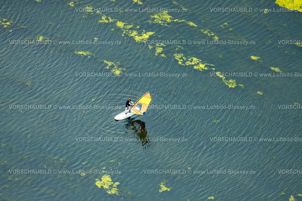 Bochum240711168KemnaderSee | Luftbild, Kemnader Stausee mit Elodea, Wasserpest, Algenblüte, Segelboote und Stand-Up Paddeler, Bochum, Nordrhein-Westfalen, Deutschland