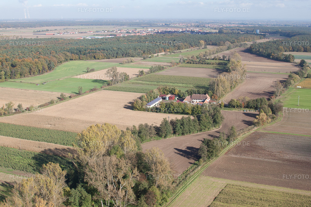 Luftbild: Leistenmühle in Erlenbach bei Kandel im Bundesland Rheinland-Pfalz in Deutschland. Foto: IMG_34929.jpg vom 26.10.2010 durch Werner Riehm/FLY-FOTO.de